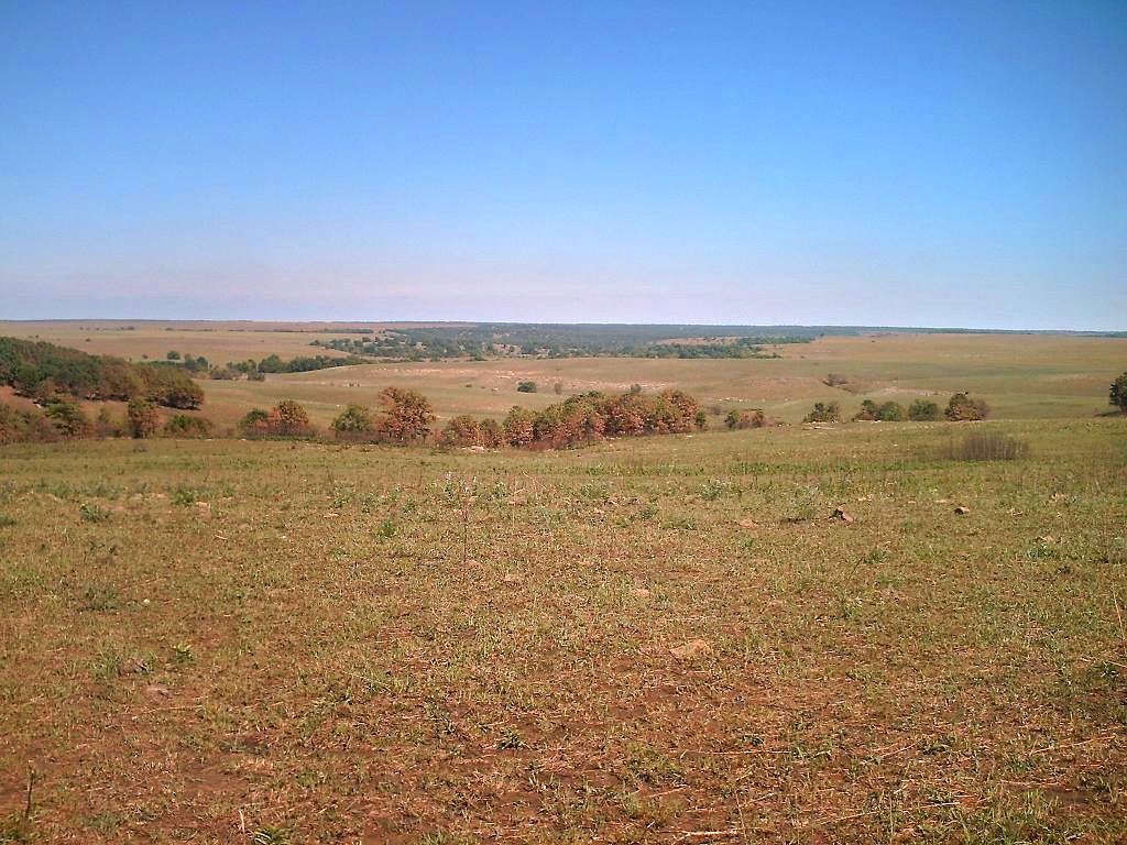 Tallgrass Village